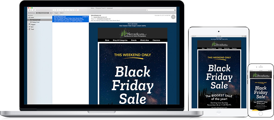 NatureScapes Retail Email Marketing - Black Friday Sale