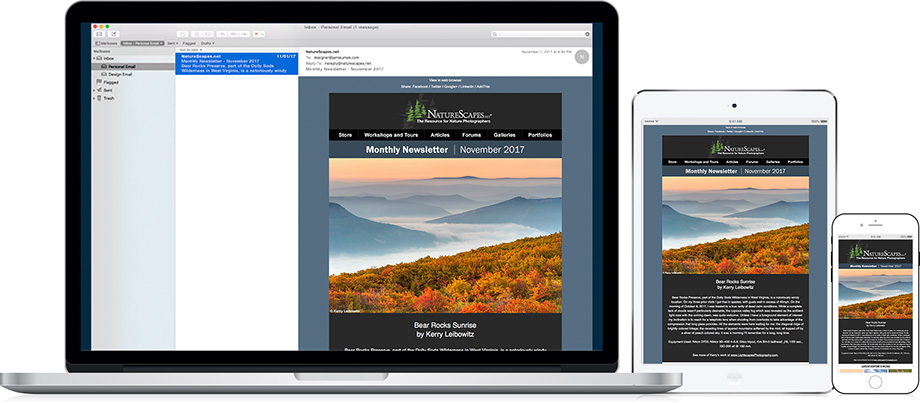 NatureScapes Monthly Email Newsletter - November 2017