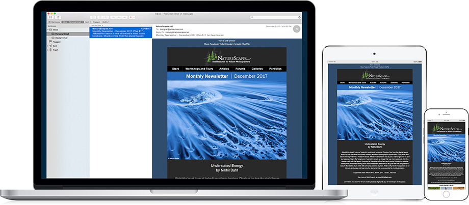 NatureScapes Monthly Email Newsletter - December 2017