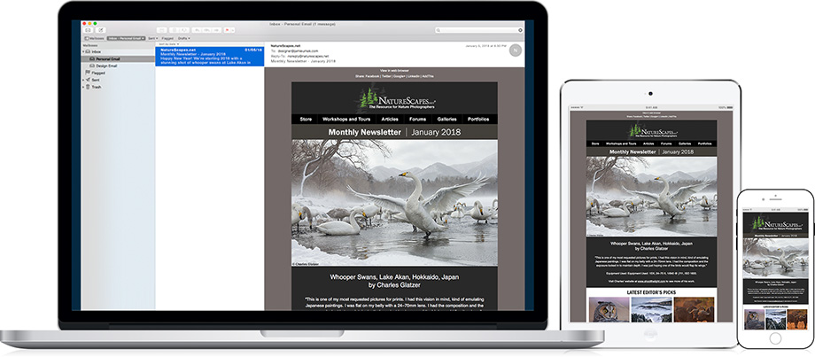 NatureScapes Monthly Email Newsletter - January 2018