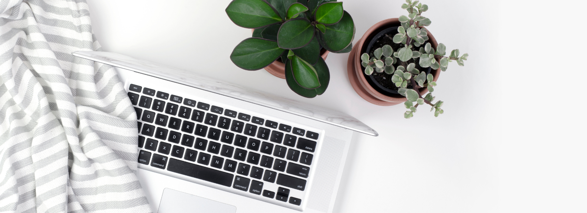 Opened laptop with green potted plants and blanket with gray and white stripes.