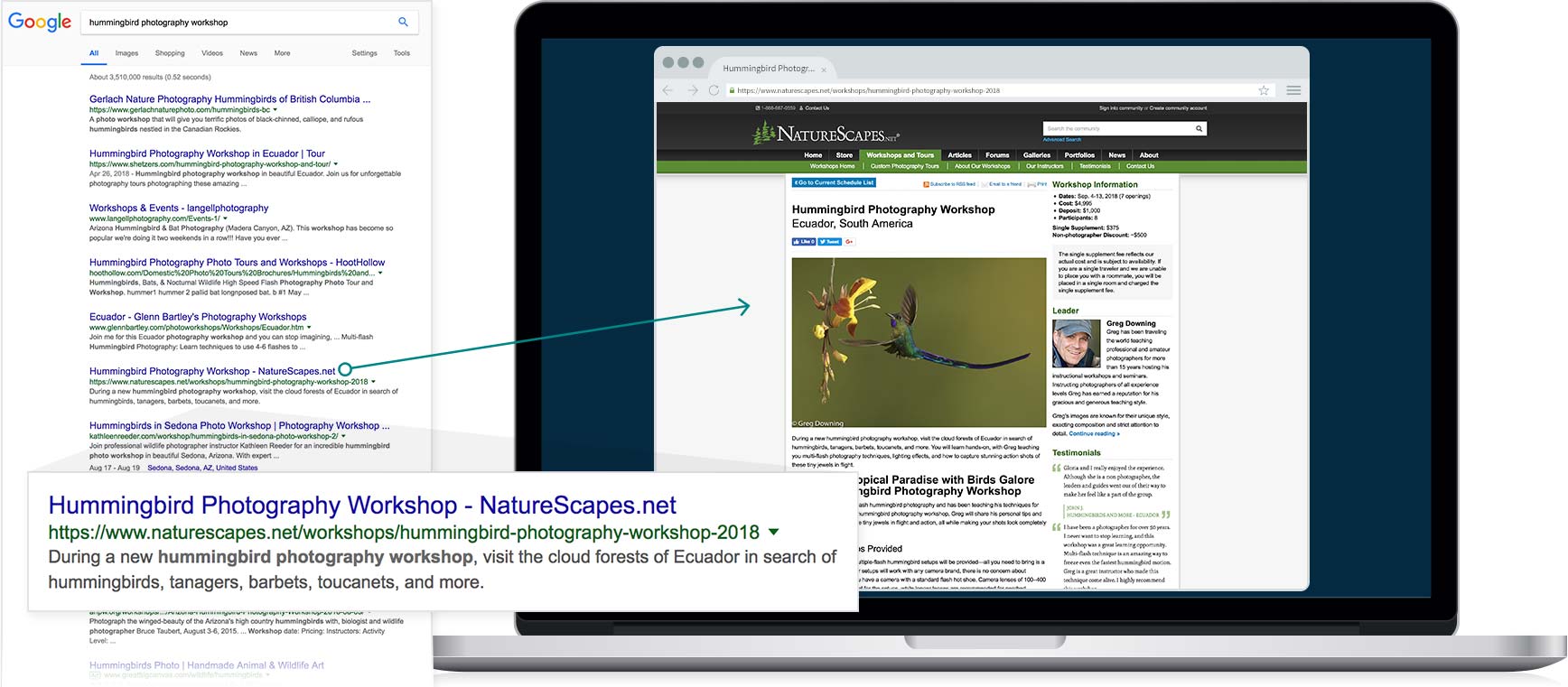 SEO - Travel Hummingbirds