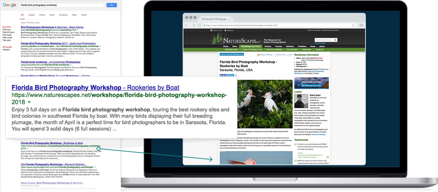 SEO - Travel Florida Birds