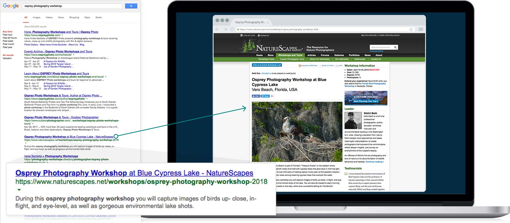 SEO - Travel Florida Osprey