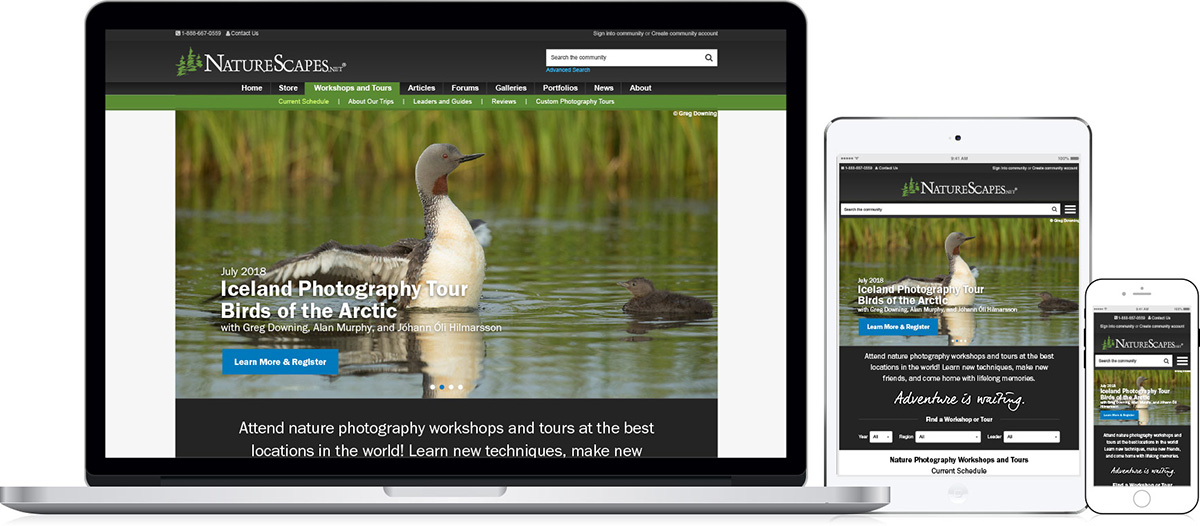 NatureScapes.net Workshops and Tours