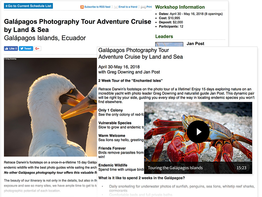 NatureScapes Email Campaign Content