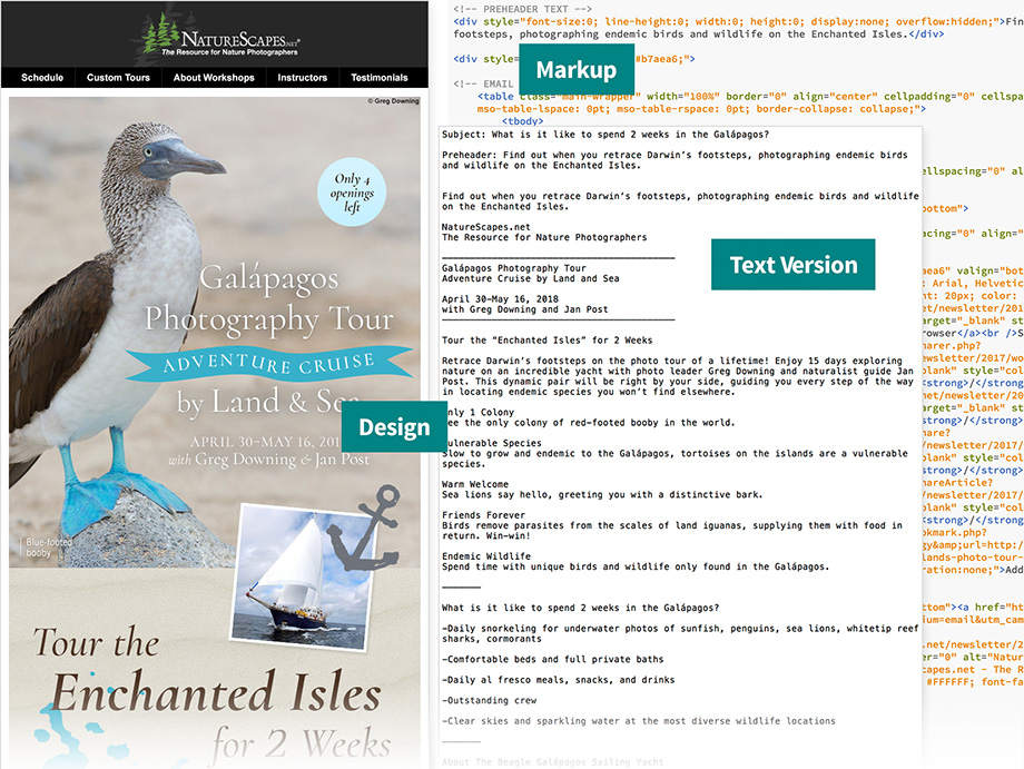 NatureScapes Email Development and Analysis