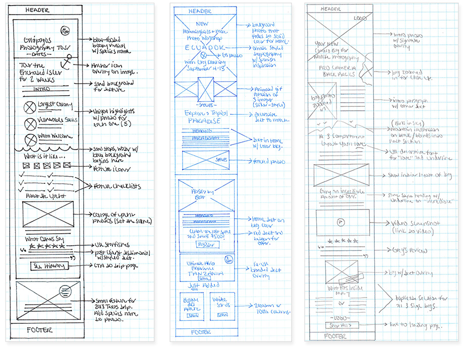 NatureScapes Email Wireframe Sketches and Design