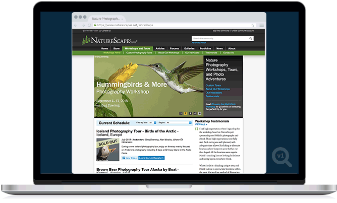 NatureScapes Travel Analysis
